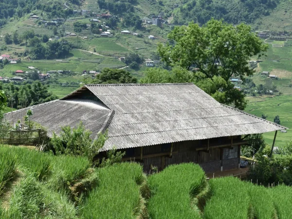 1 Day Easy Trekking in Sapa through Muong Hoa Valley