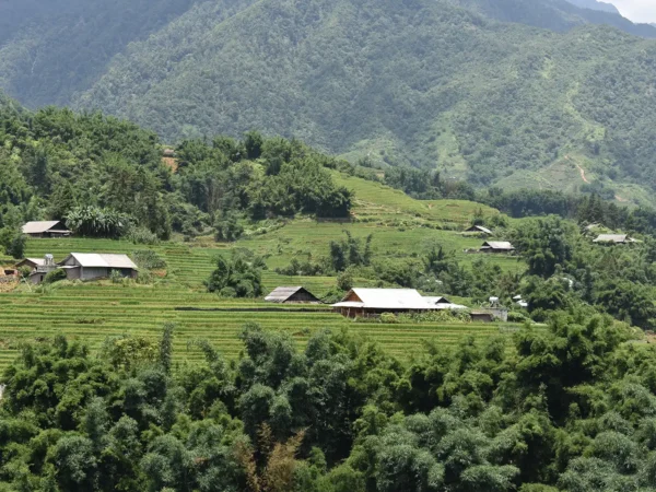 1 Day Easy Trekking in Sapa through Muong Hoa Valley