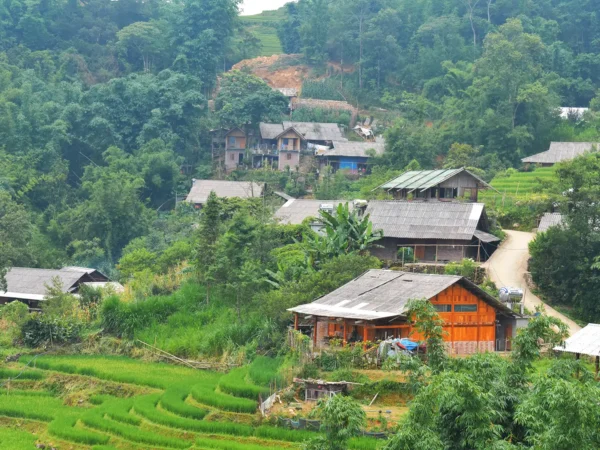 1 Day Easy Trekking in Sapa through Muong Hoa Valley