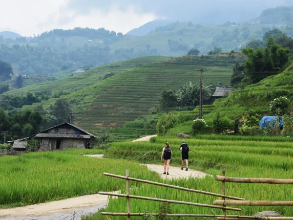 1 Day Easy Trekking in Sapa through Muong Hoa Valley