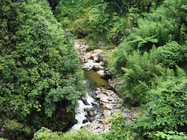 1 Day Easy Trekking in Sapa through Muong Hoa Valley