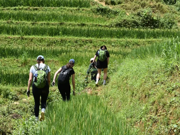 1 Day Easy Trekking in Sapa through Muong Hoa Valley