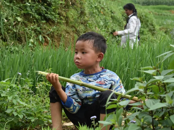 1 Day Easy Trekking in Sapa through Muong Hoa Valley
