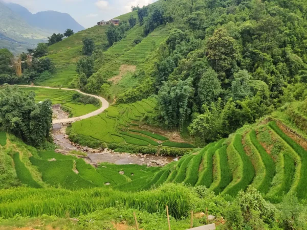 1 Day Easy Trekking in Sapa through Muong Hoa Valley
