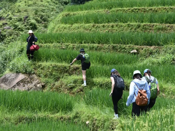 1 Day Easy Trekking in Sapa through Muong Hoa Valley