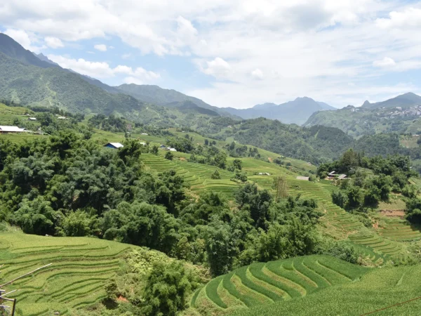 1 Day Easy Trekking in Sapa through Muong Hoa Valley