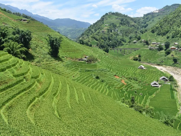 1 Day Easy Trekking in Sapa through Muong Hoa Valley