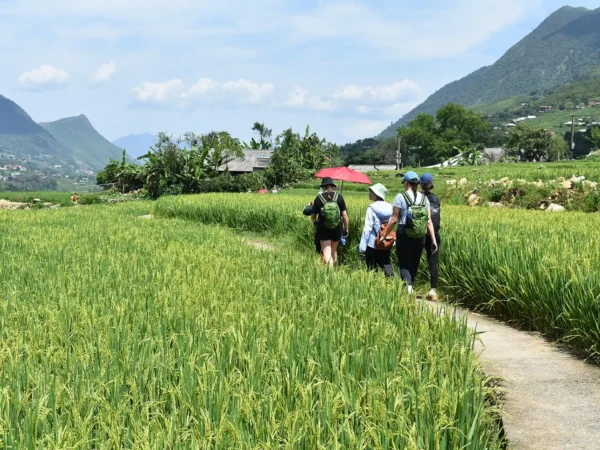 1 Day Easy Trekking in Sapa through Muong Hoa Valley