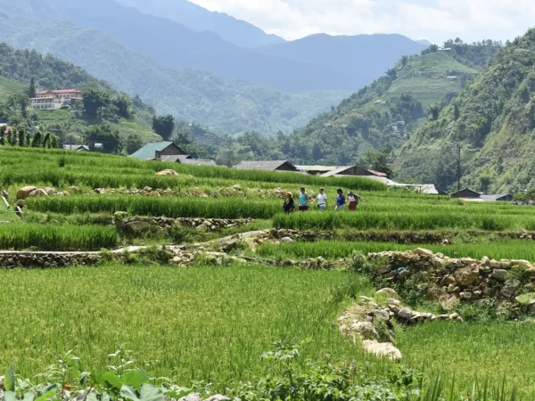 1 Day Easy Trekking in Sapa through Muong Hoa Valley