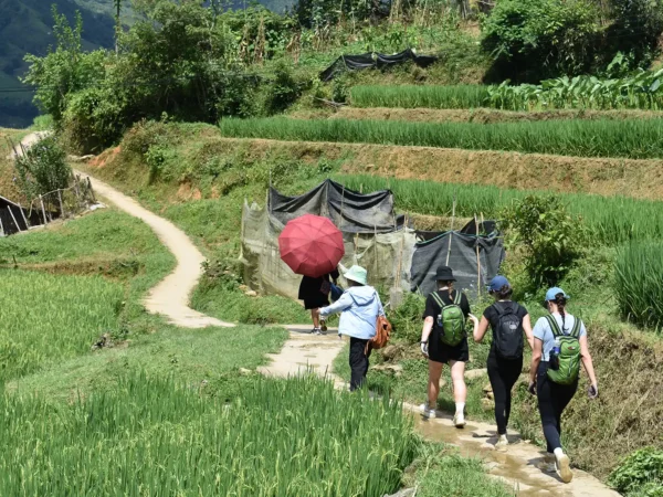 1 Day Easy Trekking in Sapa through Muong Hoa Valley