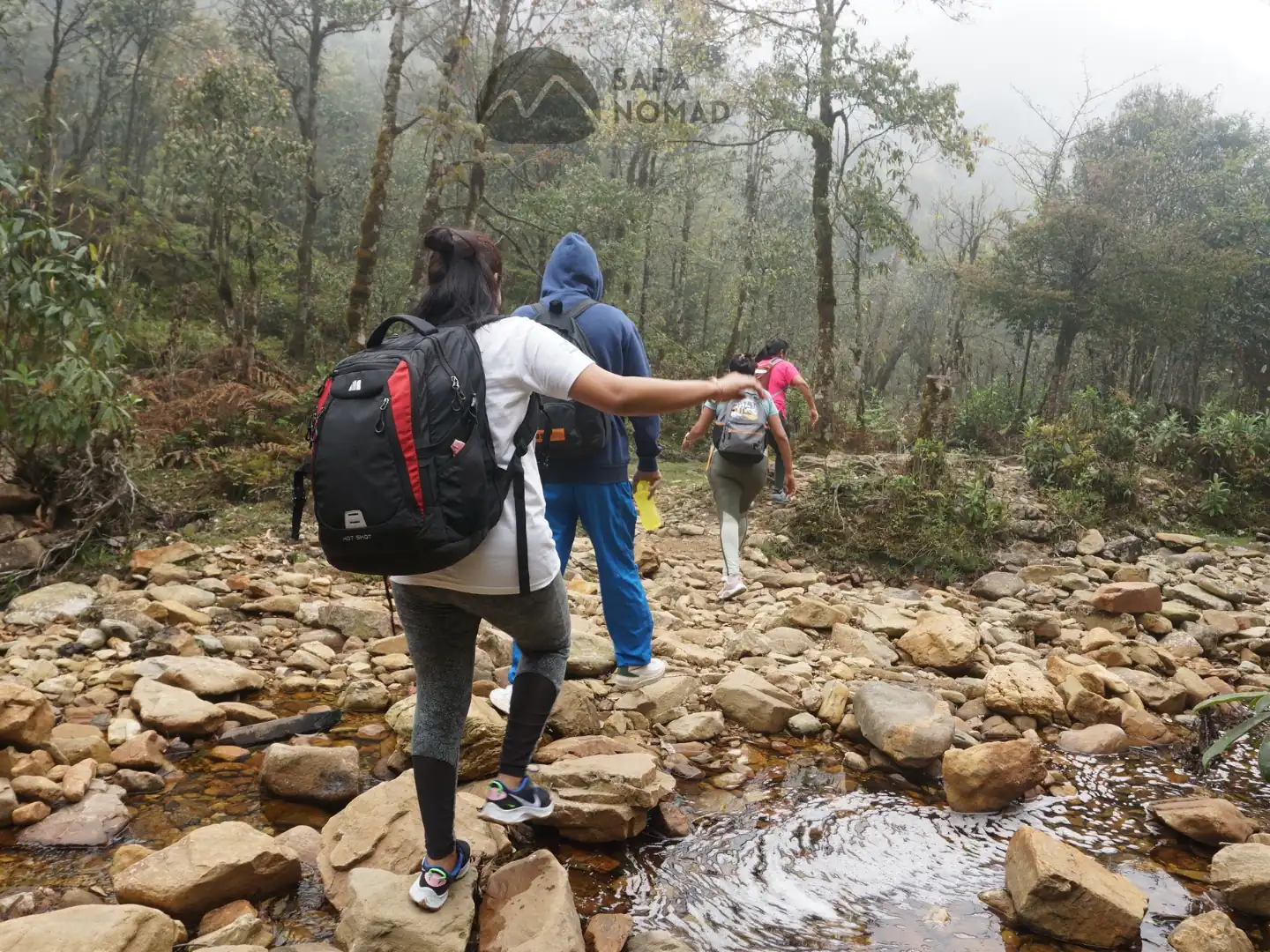 1-Day Hike Fansipan Mountain from Sapa with Local Expert 20 1-Day Hike Fansipan Mountain from Sapa with Local Expert - Image 20