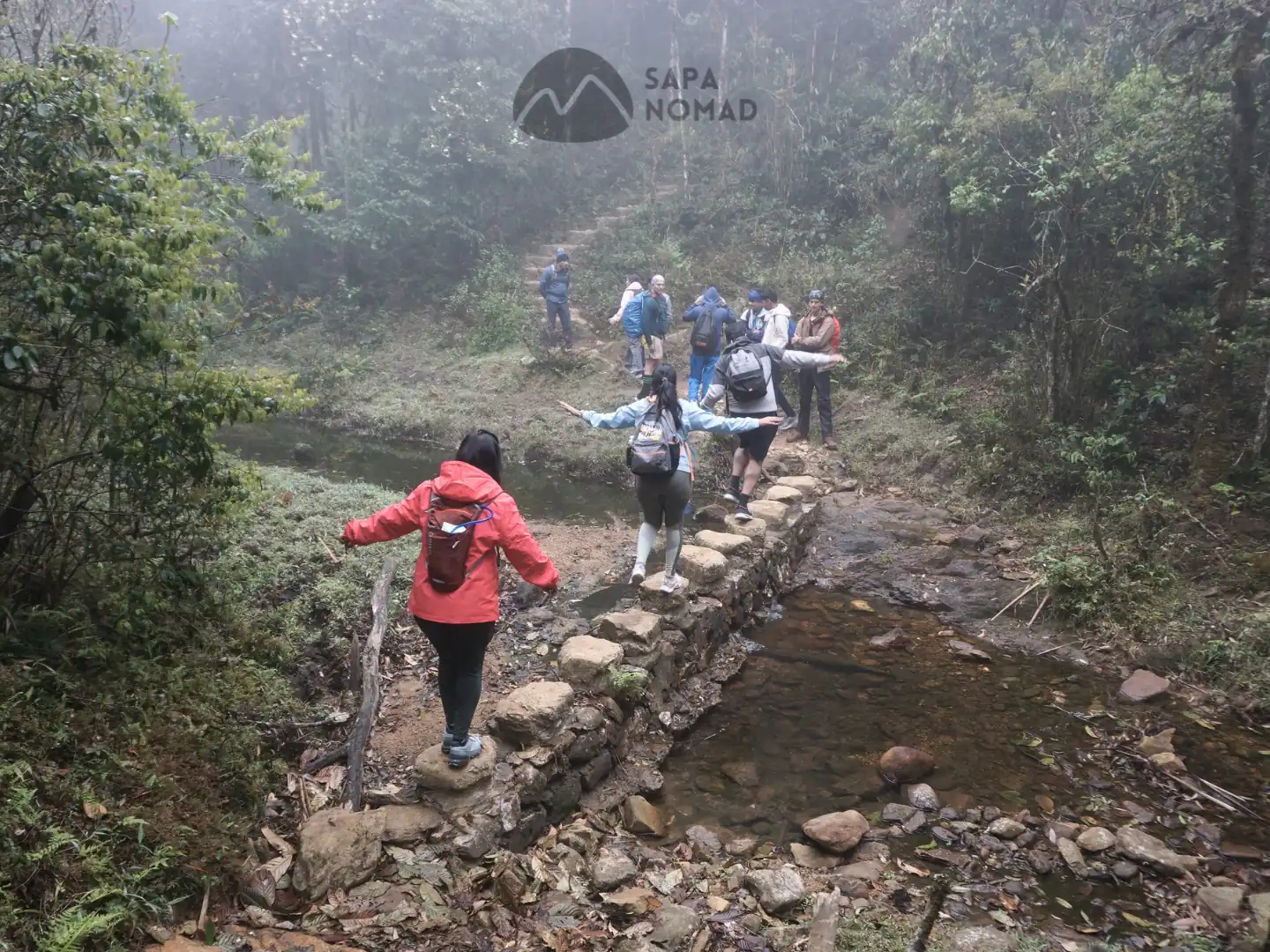1-Day Hike Fansipan Mountain from Sapa with Local Expert 21 1-Day Hike Fansipan Mountain from Sapa with Local Expert - Image 21