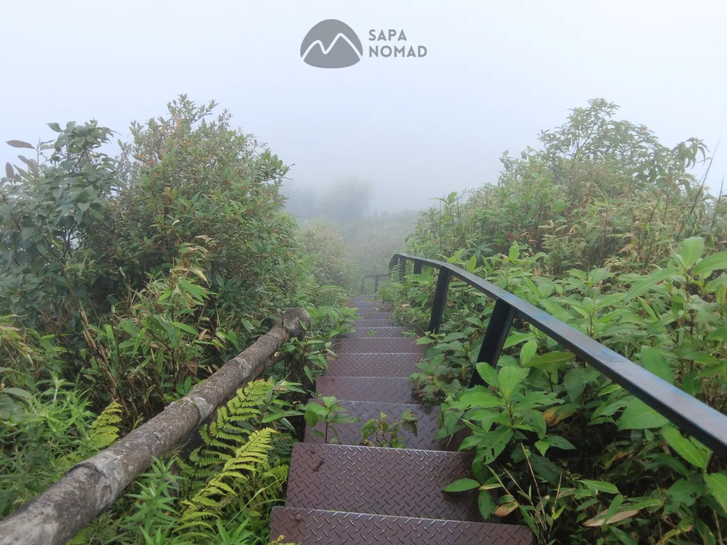1-Day Hike Fansipan Mountain from Sapa with Local Expert 15 1-Day Hike Fansipan Mountain from Sapa with Local Expert - Image 15