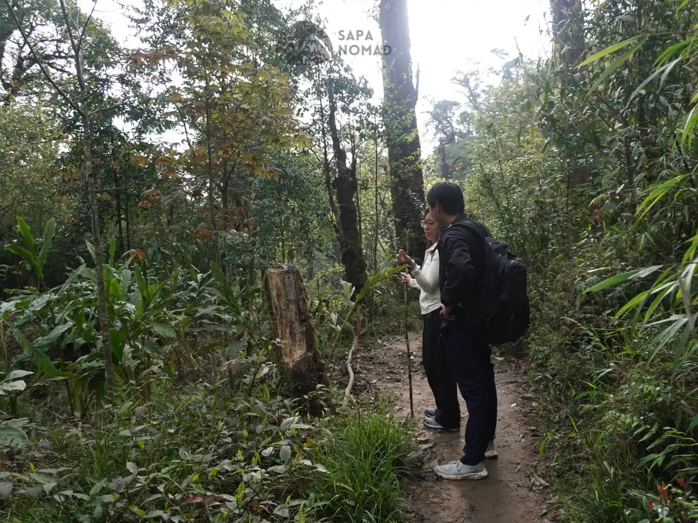 1-Day Hike Fansipan Mountain from Sapa with Local Expert 19 1-Day Hike Fansipan Mountain from Sapa with Local Expert - Image 19