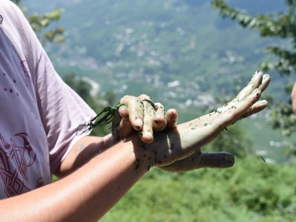 1 Day Moderate Trekking in Sapa Tour