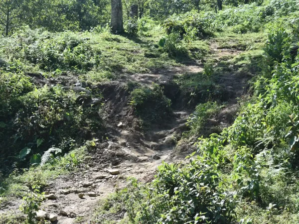 1 Day Moderate Trekking in Sapa Tour