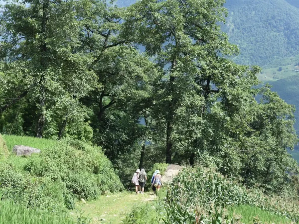 1 Day Moderate Trekking in Sapa Tour