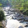 1 Day Hard Trekking to Giang Ta Chai Village from Sapa