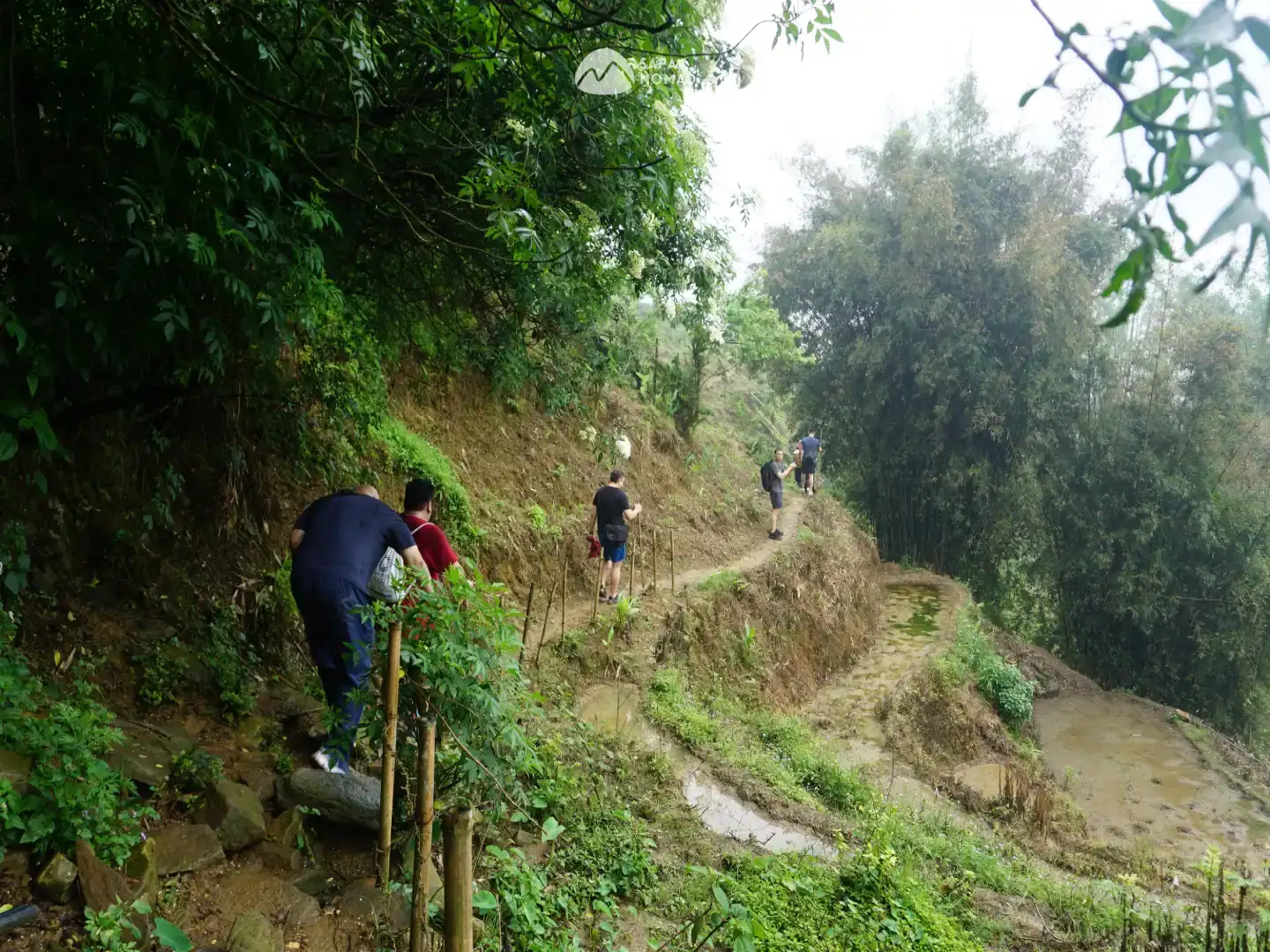 1-Day Hard Trekking Tour – Explore Local Villages & Scenic Rice Fields 5 1-Day Hard Trekking Tour – Explore Local Villages & Scenic Rice Fields - Image 5