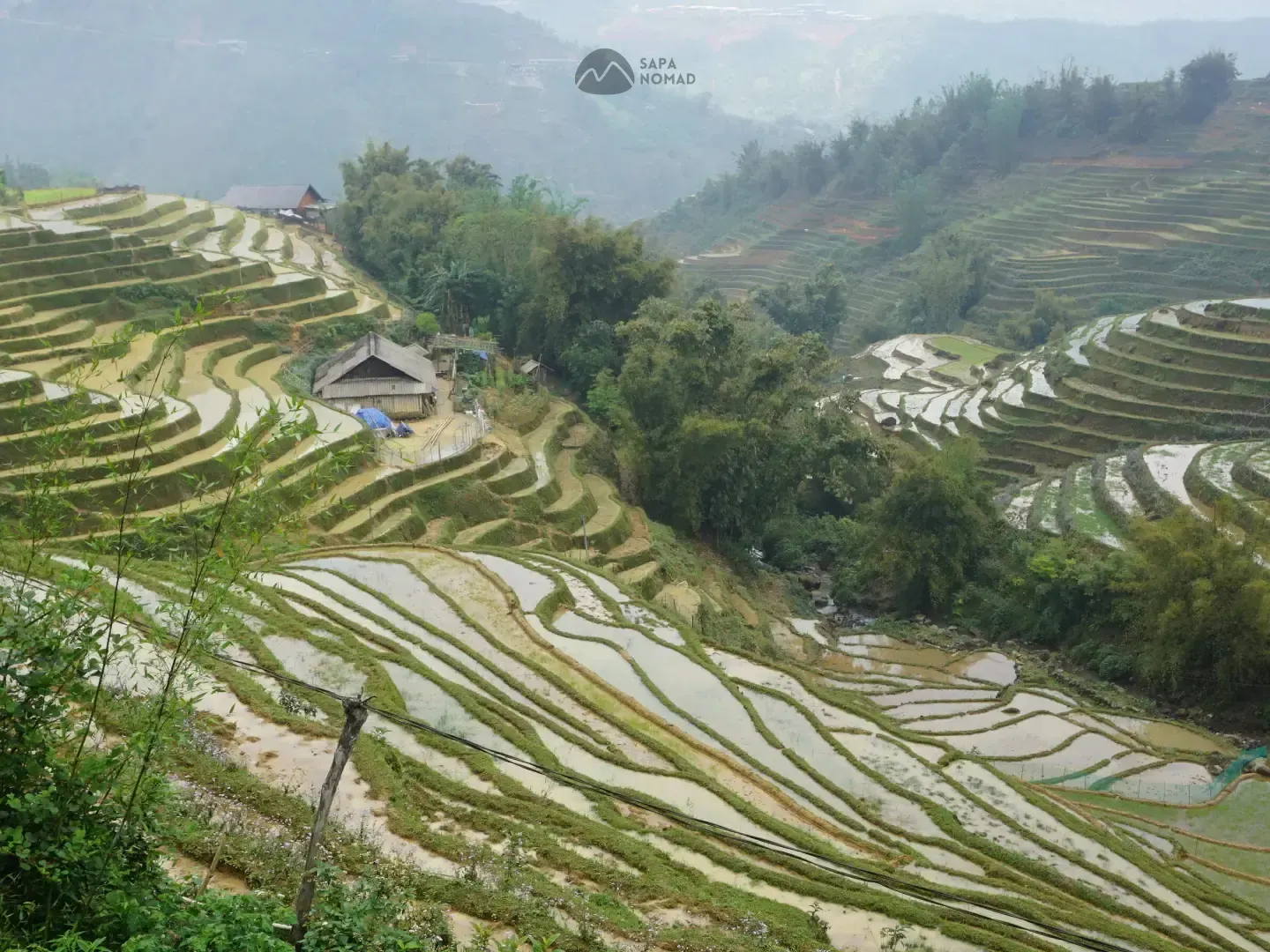 1-Day Hard Trekking Tour – Explore Local Villages & Scenic Rice Fields 6 1-Day Hard Trekking Tour – Explore Local Villages & Scenic Rice Fields - Image 6