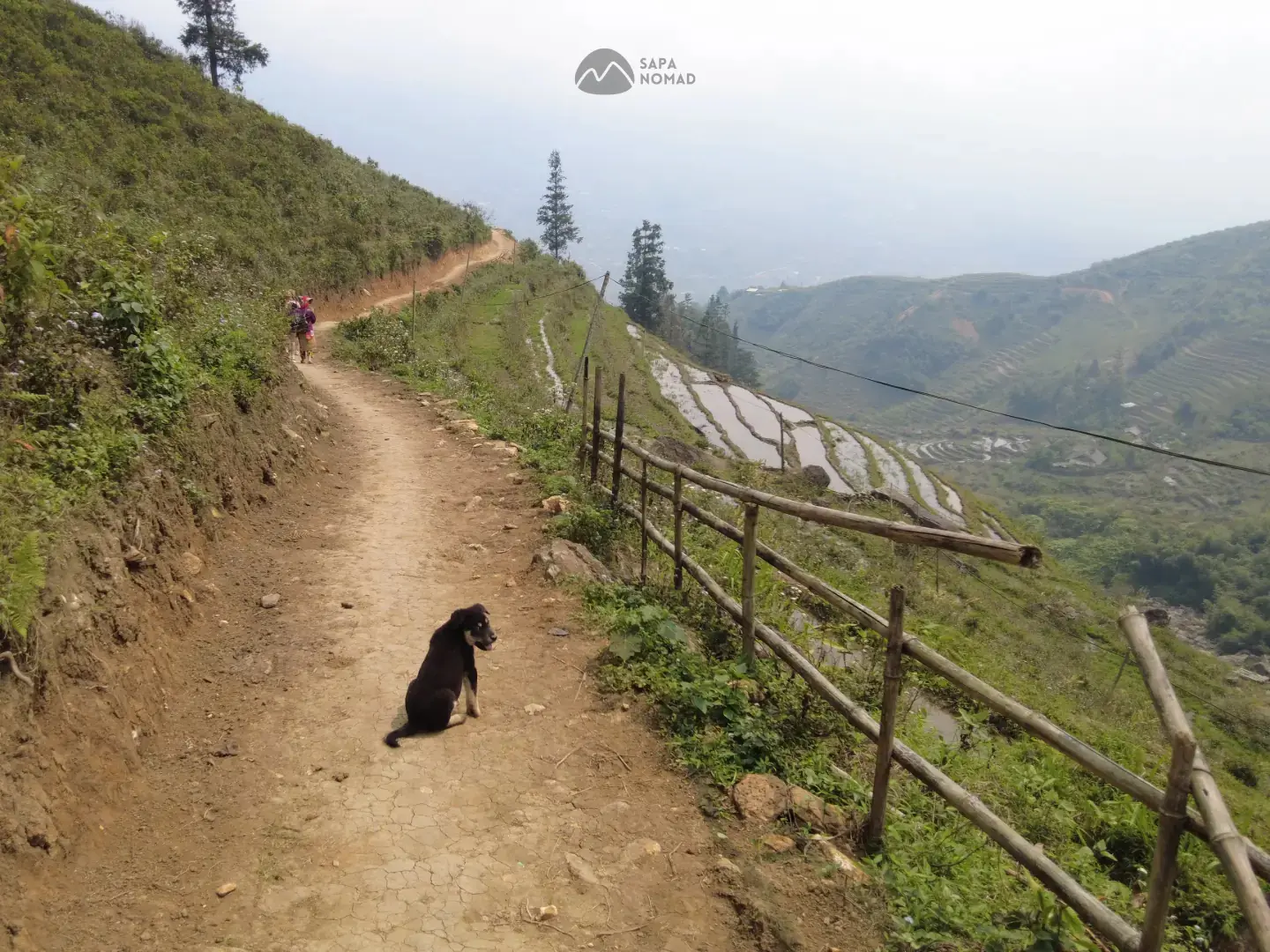 1-Day Hard Trekking Tour – Explore Local Villages & Scenic Rice Fields 9 1-Day Hard Trekking Tour – Explore Local Villages & Scenic Rice Fields - Image 9