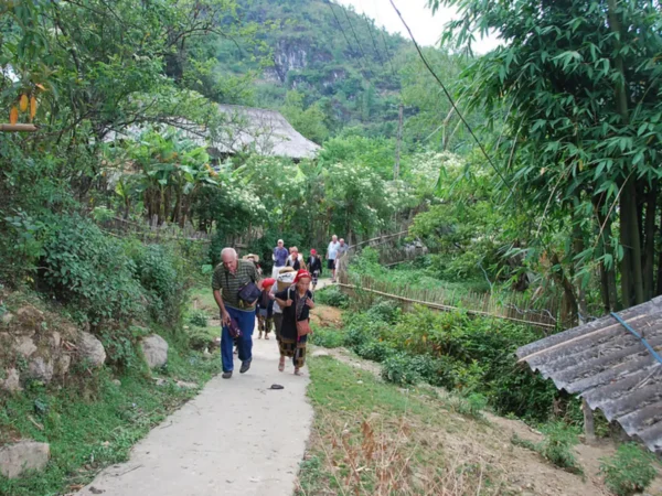 1 day sapa trekking suoi ho ma tra ta phin village 11 | Sapa Nomad