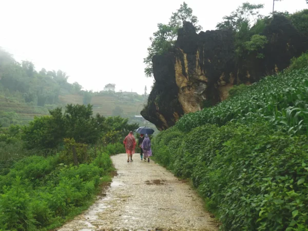 1 day sapa trekking suoi ho ma tra ta phin village 4 | Sapa Nomad