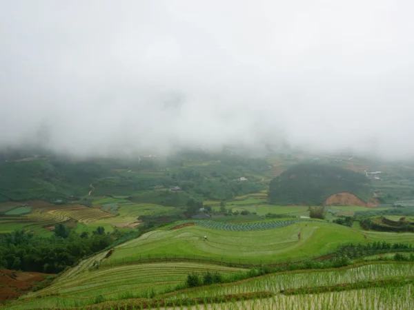 1 day sapa trekking suoi ho ma tra ta phin village 5 | Sapa Nomad