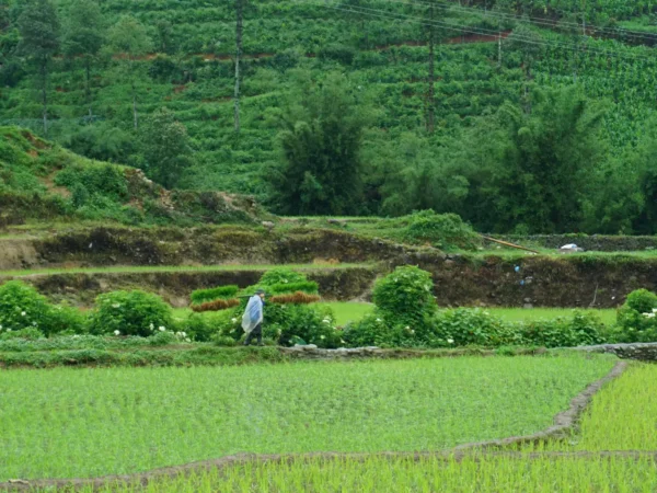 1 day sapa trekking suoi ho ma tra ta phin village | Sapa Nomad