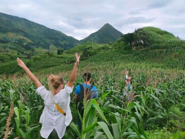 1-Day Sapa Trek to Suoi Ho - Ma Tra - Ta Phin Village