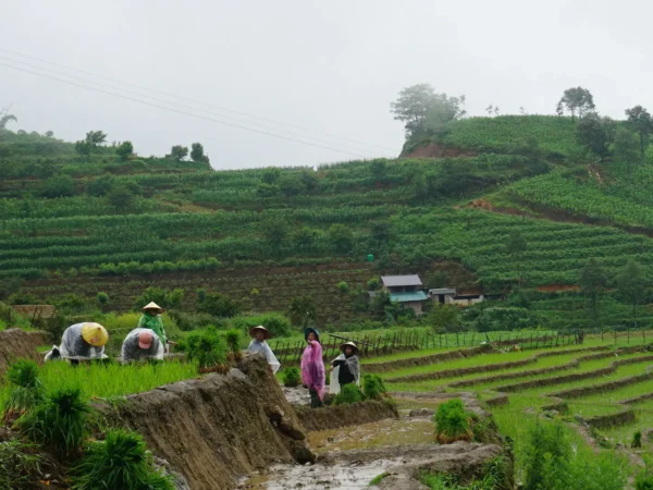 1 day sapa trekking suoi ho ma tra ta phin village 9 | Sapa Nomad