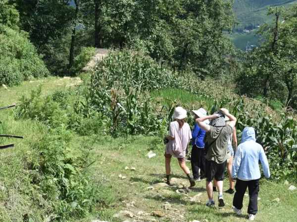 2 Days 1 Night Sapa Trekking & Homestay in Village