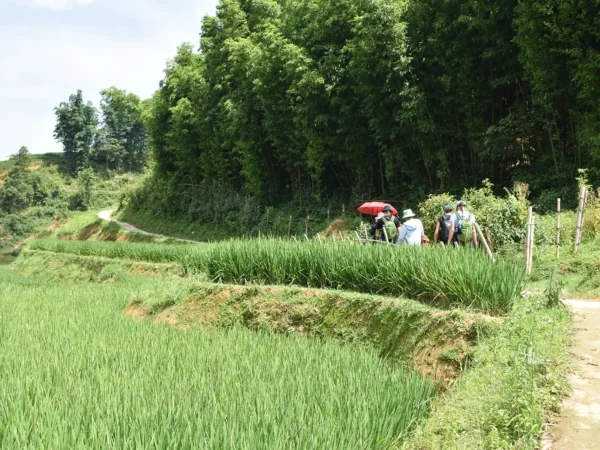 2 Days 1 Night Sapa Trekking & Homestay in Village
