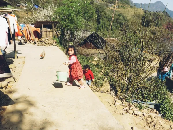1 Day Moderate Trekking Tour in Sapa by Sapa Nomad 2025