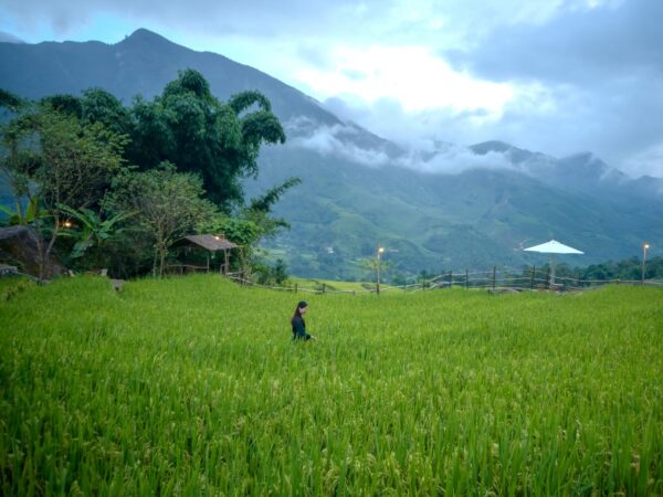 3 days 2 nights easy trekking in sapa 2 | Sapa Nomad