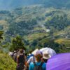 3D2N Easy Trekking Tour with Local Guide in Sapa