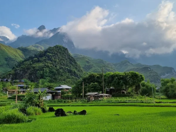 5d5n sapa trek car tour ha giang loop 6 | Sapa Nomad