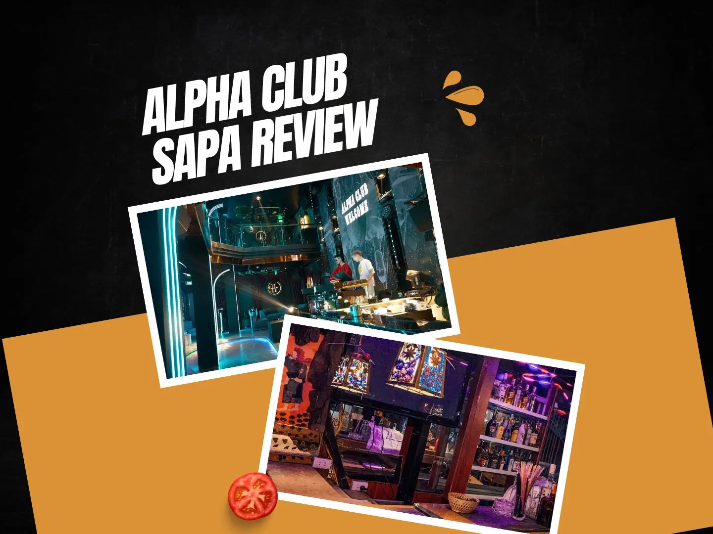 Feature Alpha Club Sapa Review | Sapa Nomad
