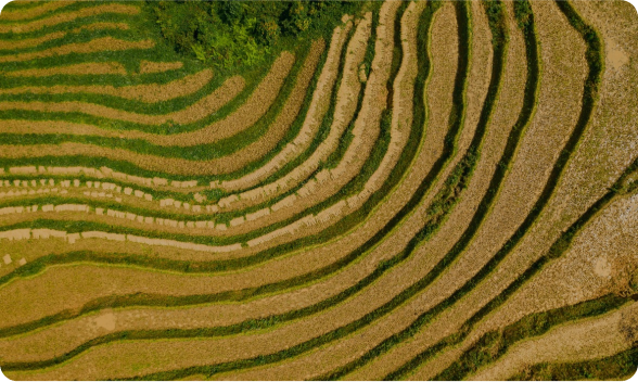 Frame 23 | Sapa Nomad