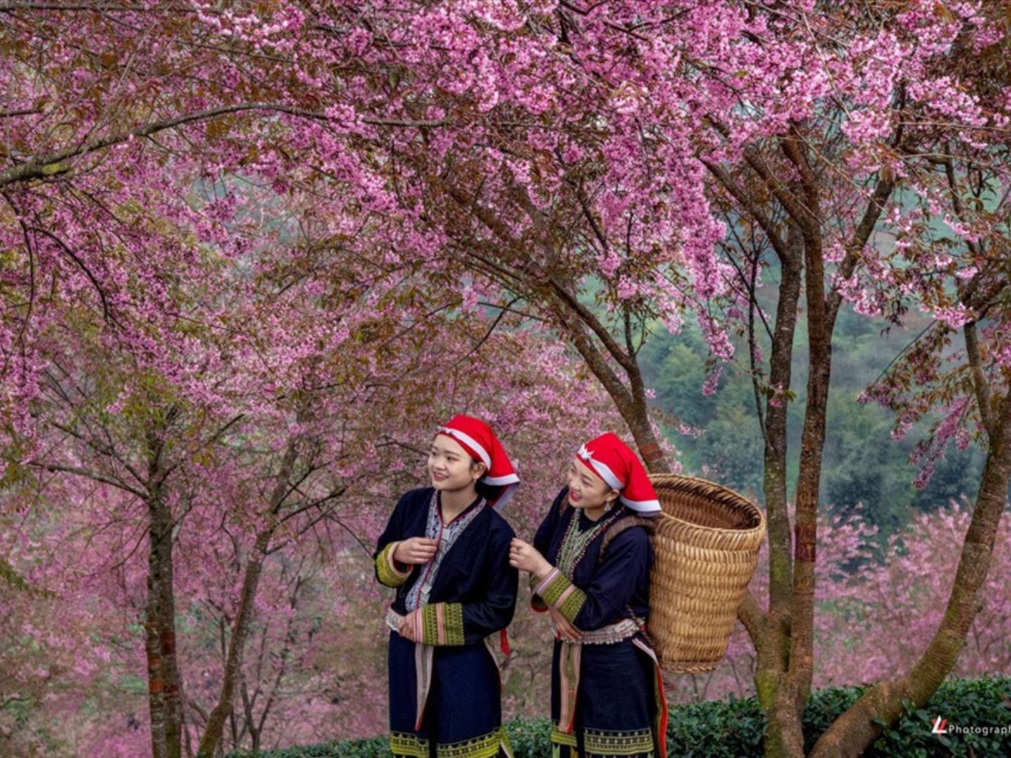 Unforgettable journey through Ha Giang Loop March