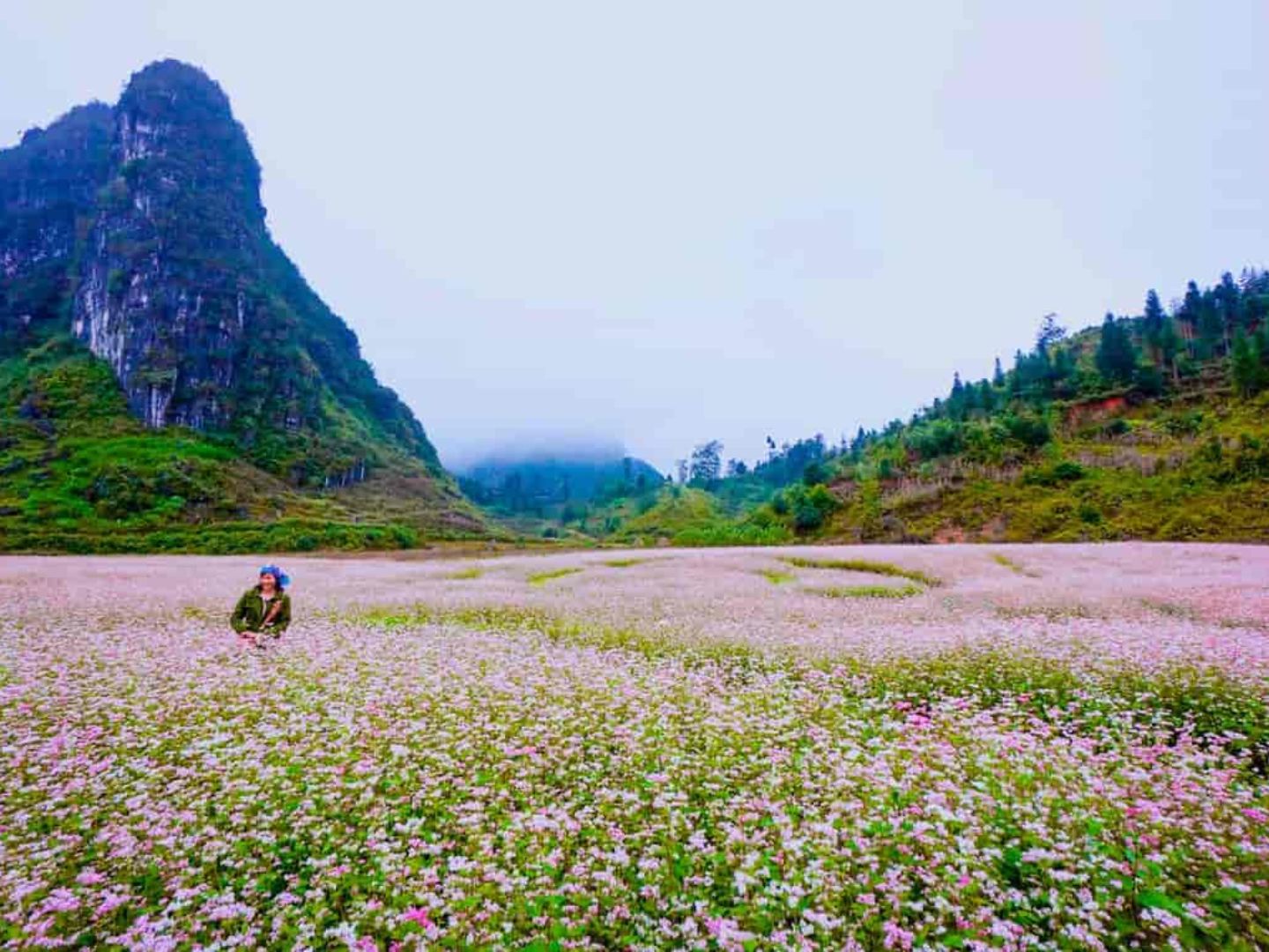 The Ha Giang Loop October