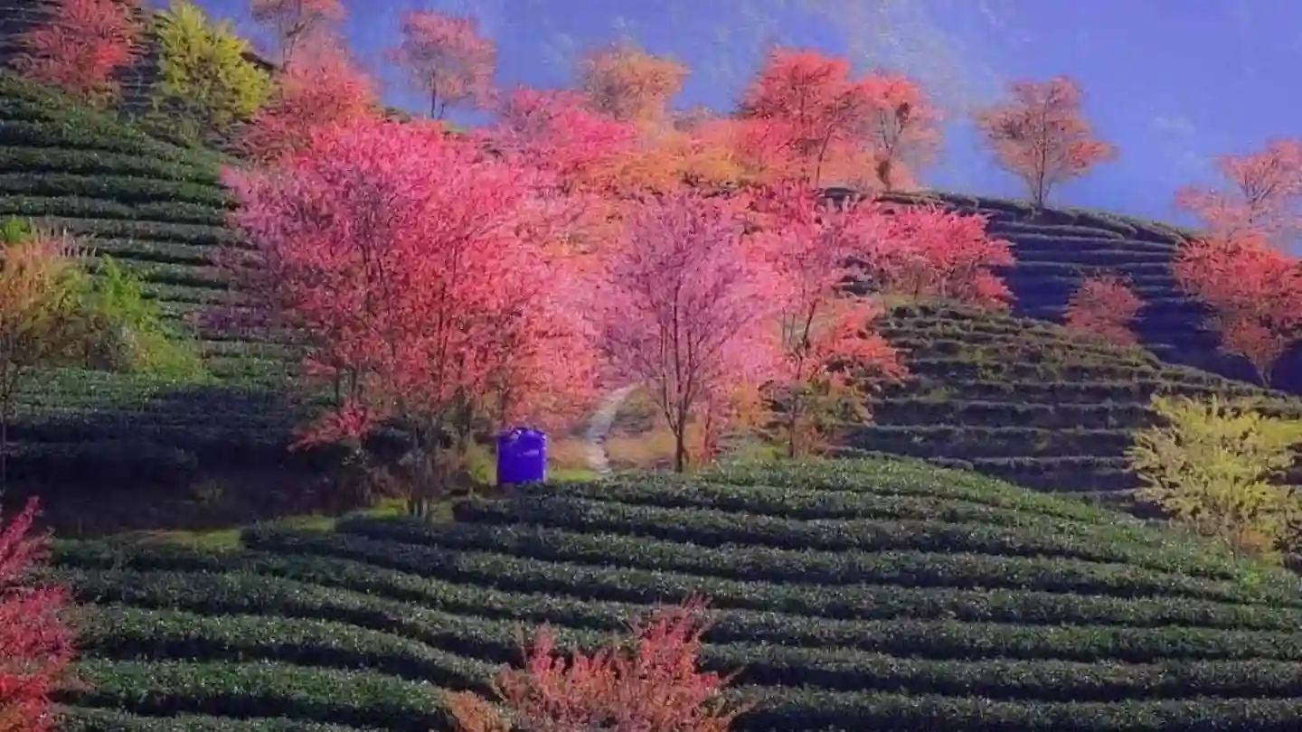Is Sapa Vietnam Safe? Travel Smart AND Feel Great! 19 Is-Sapa-Vietnam-safe