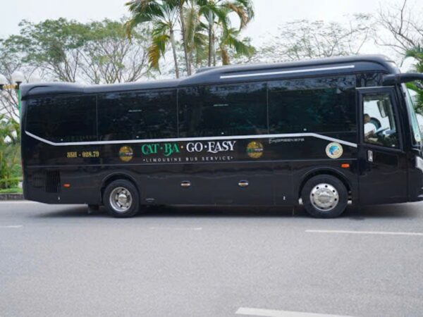 Limo 20s HN CB 2 | Sapa Nomad