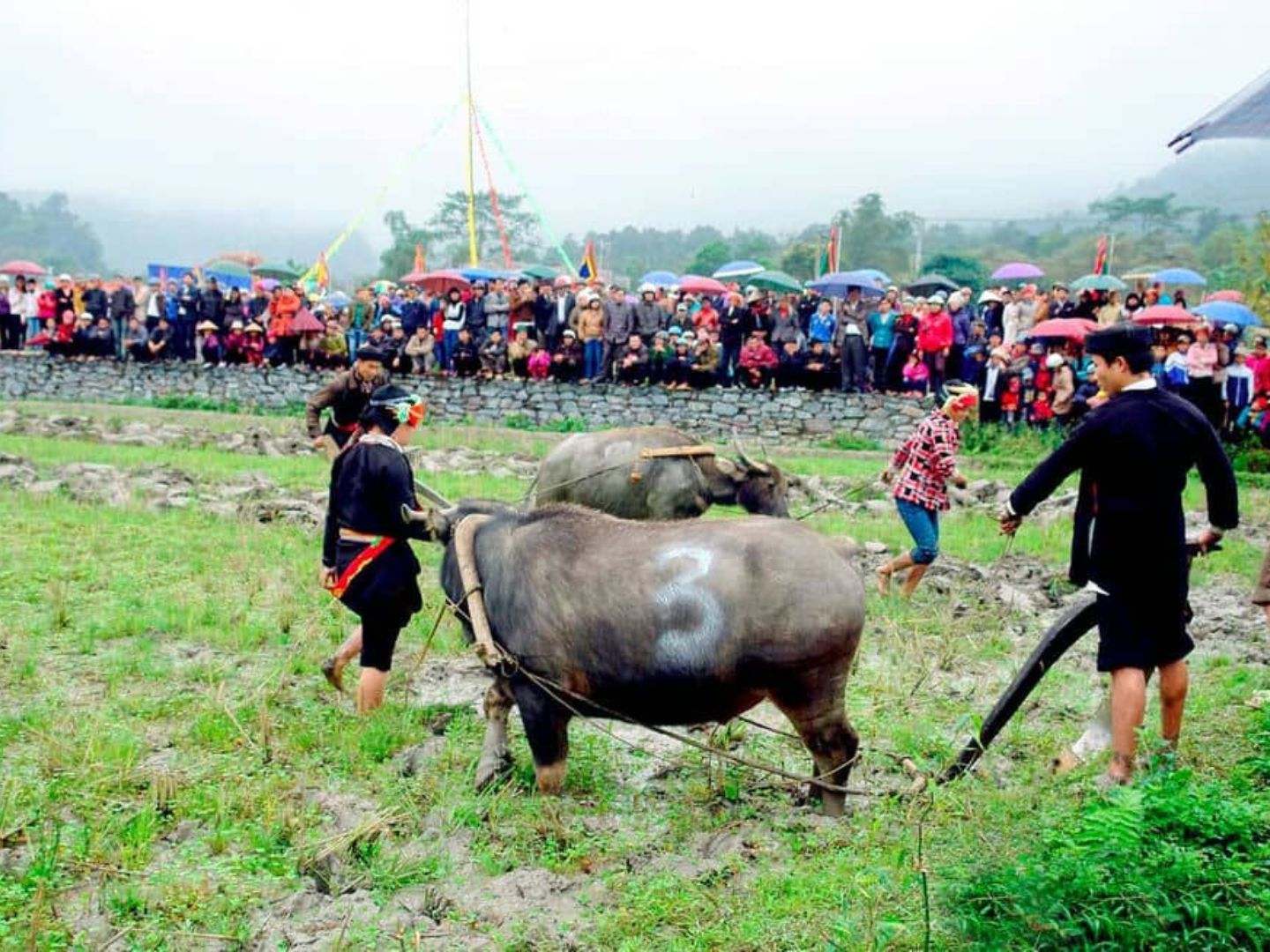 Long Tong Festival 2 | Sapa Nomad
