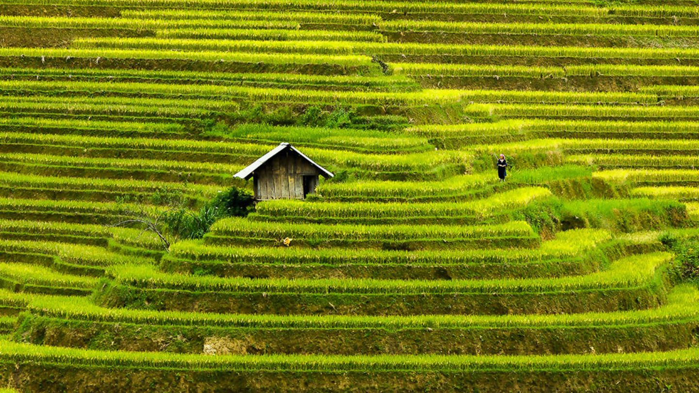 What is Sapa Famous For? 14 Amazing Experiences Full of Joy 23 What-is-Sapa-famous-for-7