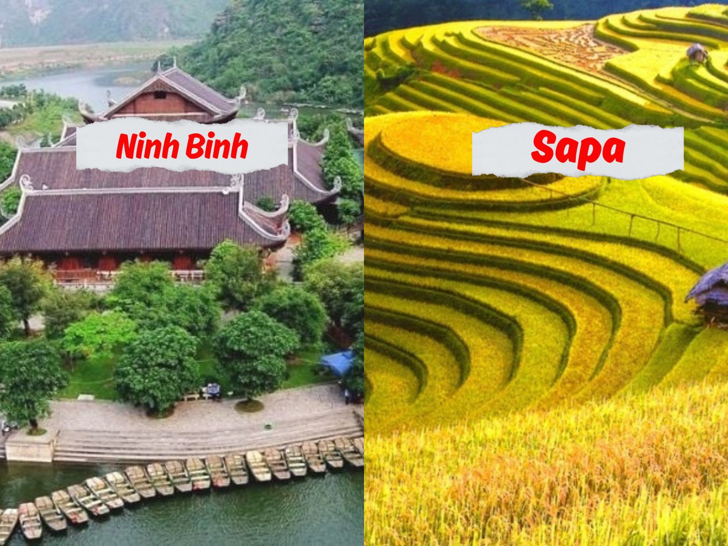 Compare Ninh Binh vs Sapa