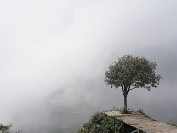 O Quy Ho 3 | Sapa Nomad