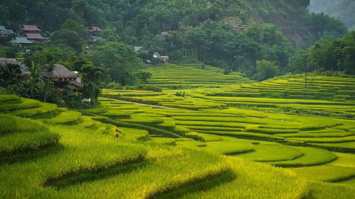 Pu Luong or Sapa: Which One Delivers a Truly Rewarding Escape? 33 Pu-Luong-or-Sapa-1