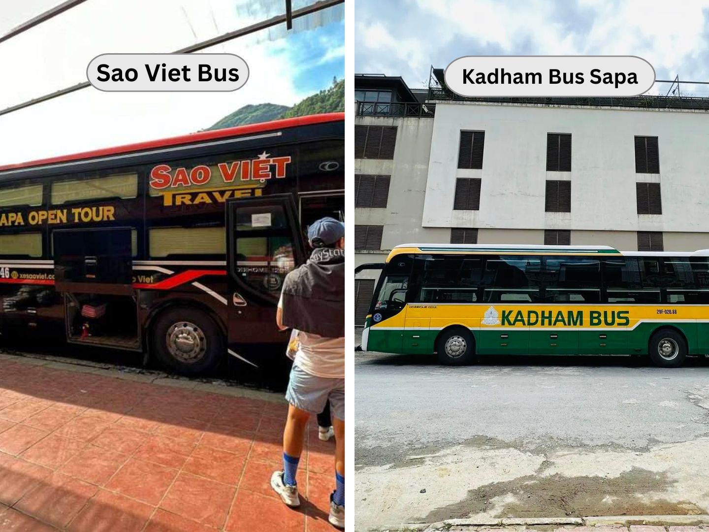 Sao Viet Bus vs Kadham Bus Sapa feature | Sapa Nomad