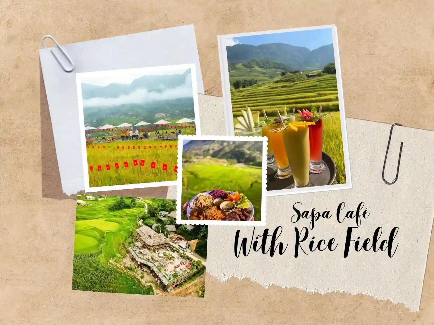 Sapa-café-with-rice-field-view